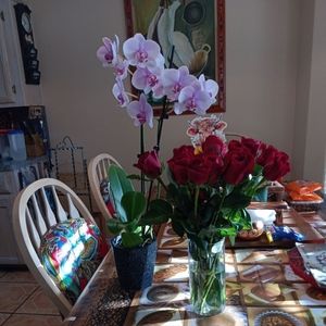 Meet your Posher, Antonio